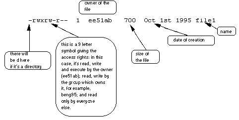 File and directory access rights